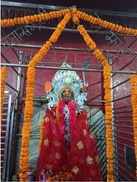मां काली की पूजा कर श्रद्धालुओं ने की मंगलकामना