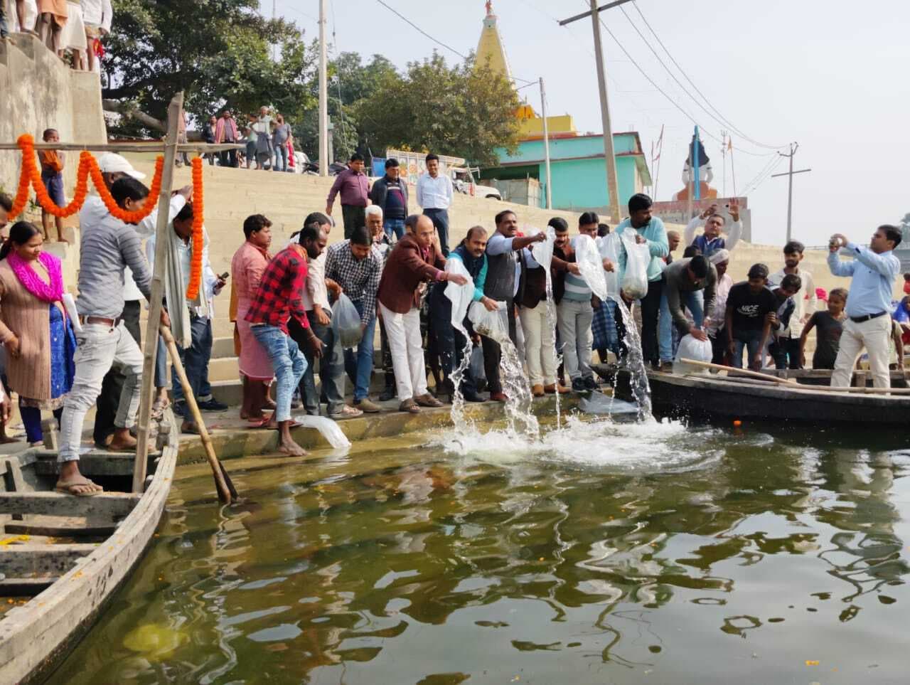 Darbhanga News: त्रिमुहानी घाट में विभाग ने छोड़ी 3.80 लाख छोटी मछलियां
