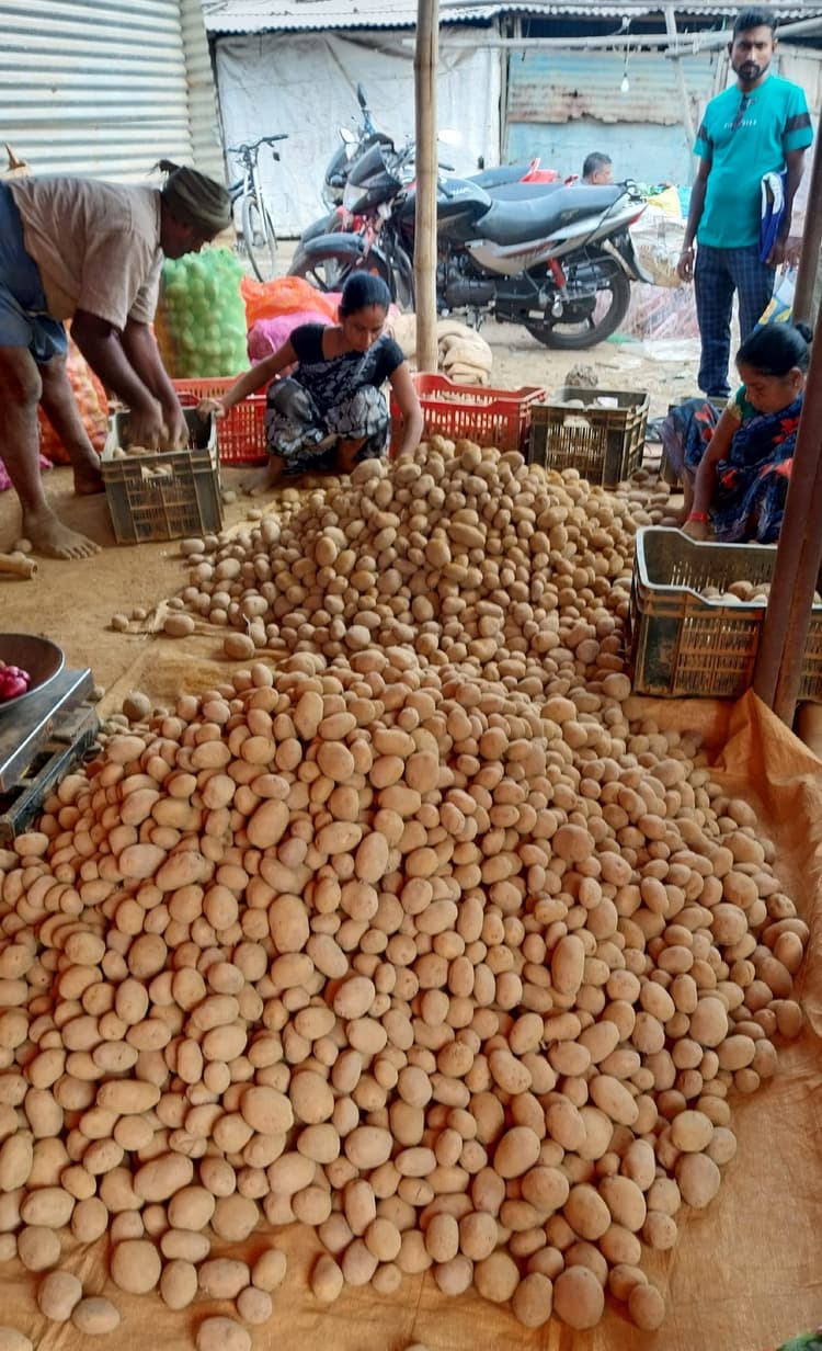 BOKARO NEWS: प्याज के बाद अब आलू कीैैैैैैैैैैैैैैैैैैैैैैैैैैैैैैैैैैैैैैै कीमत बढ़ी