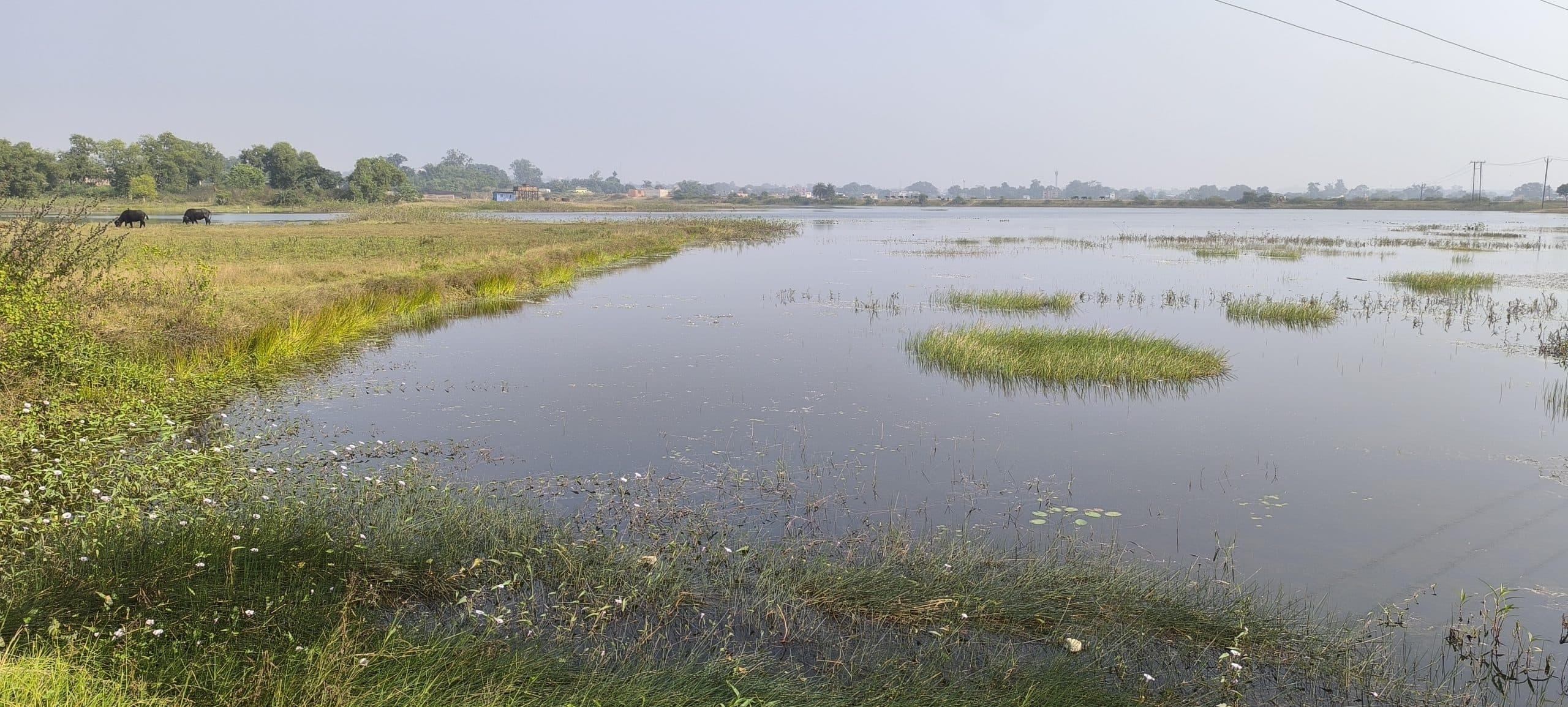 Giridih Tourism: सैलानियों को लुभा रहा है खरियोडीह डैम