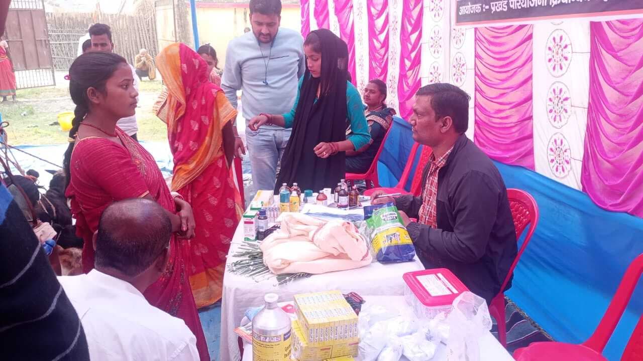 जीविका के स्वास्थ्य शिविर में 220 पशुओं की करायी जांच