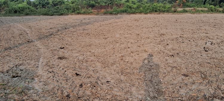 मक्का का बीज प्रति पैकेट एक हजार रुपये हुआ महंगा, किसान चिंतित