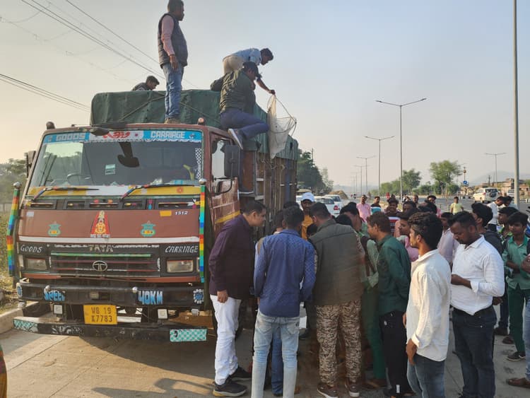 Giridih News: प्रतिबंधित मांगुर मछली से भरा ट्रक पुलिस ने किया जब्त