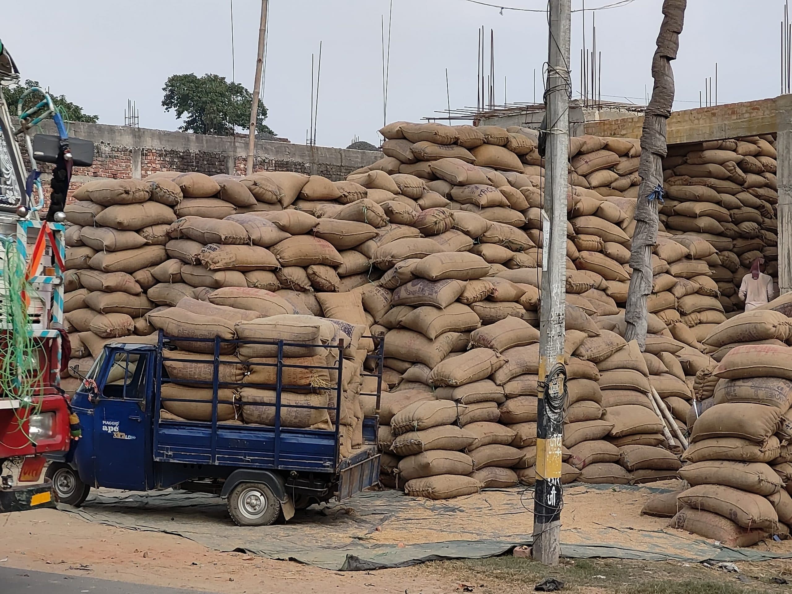 अब तक मात्र 15 सौ एमटी धान की ही हुई है सरकारी खरीद