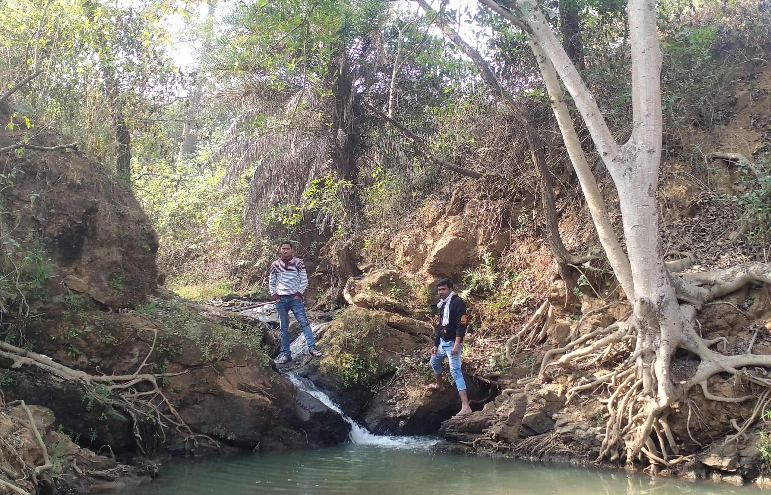 Giridih Tourism: ग्रामीण पर्यटकों को लुभा रही हैं टिकूआ दह की वादियां