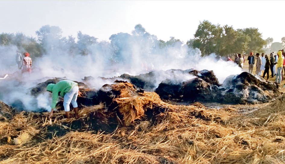 Gaya News : खलिहान में लगी आग, 10 लाख का धान जलाकर हुआ राख