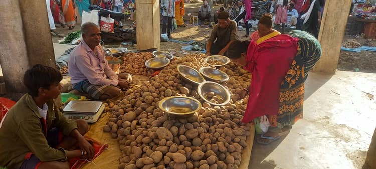 Seraikela News : बंगाल से रोक के बाद यूपी से आ रहा आलू, 40-42 रुपये किलो मिल रहा