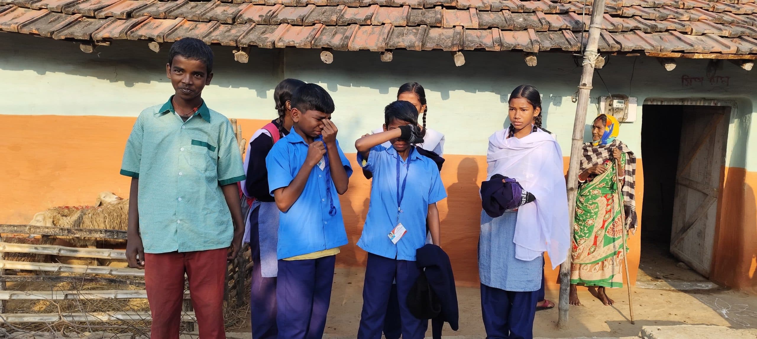 East Singhbhum : मधुमक्खियों के हमले से कई विद्यार्थी व राहगीर घायल