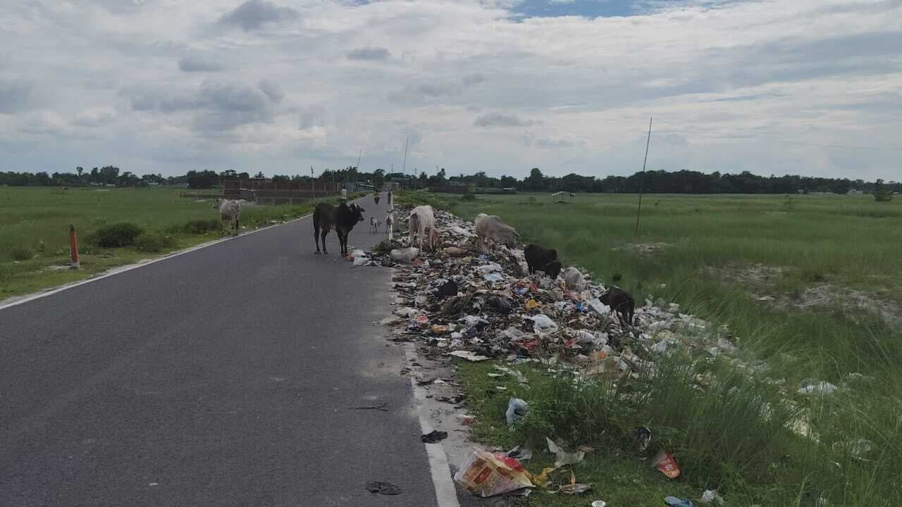 कचरा प्रबंधन नहीं रहने से सड़क किनारे फेंका जा रहा कचरा, लोगों को हो रही परेशानी