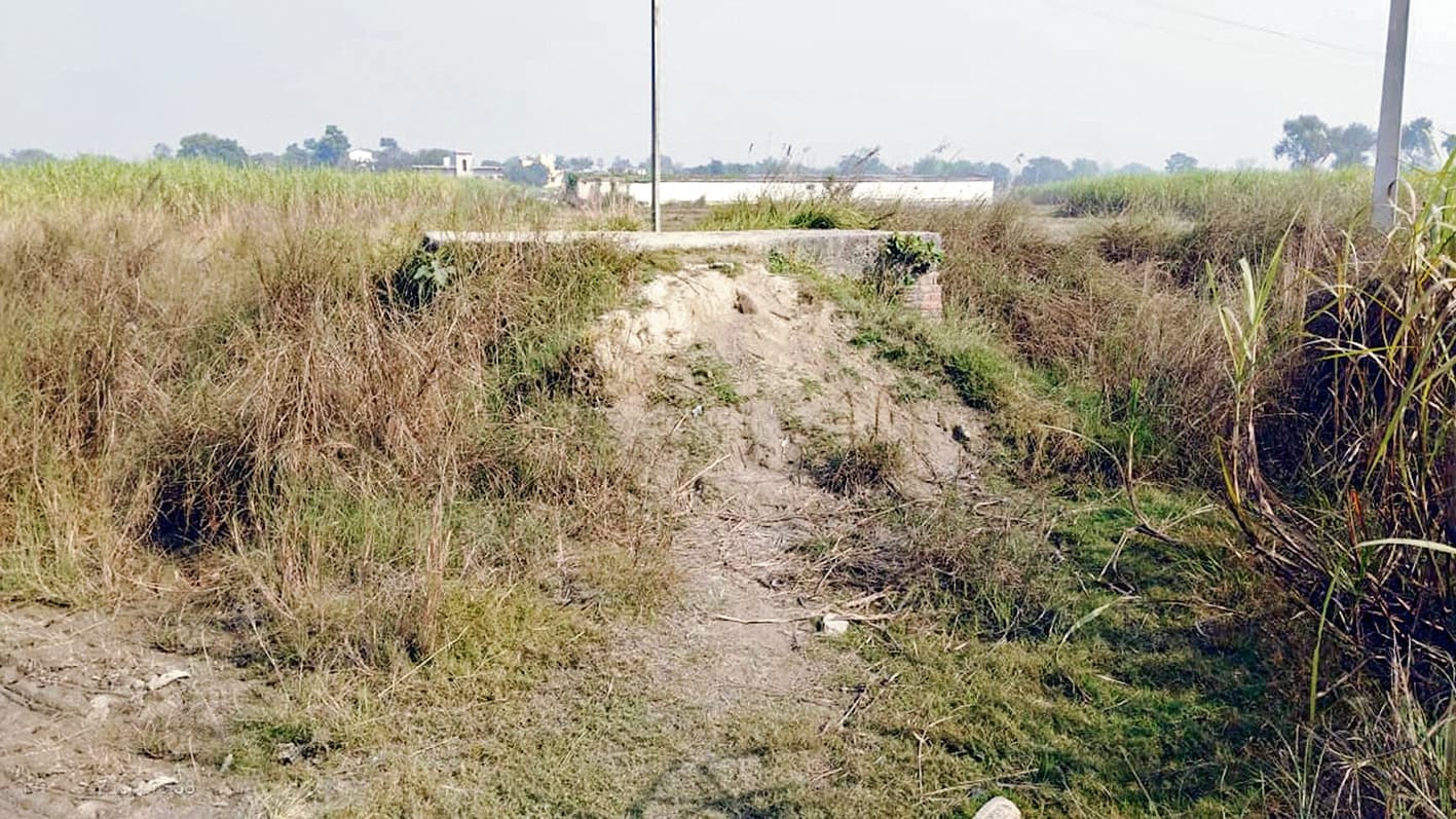 Gopalganj News : 2020 की बाढ़ के बाद से बंद है आवागमन, वजूद खो रही सड़क, पैदल भी गुजरना मुहाल