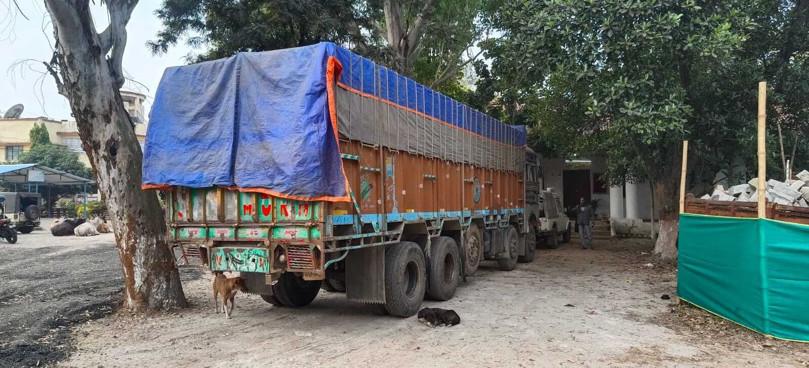33 मवेशियों से भरा ट्रक जब्त, पांच लोग गिरफ्तार