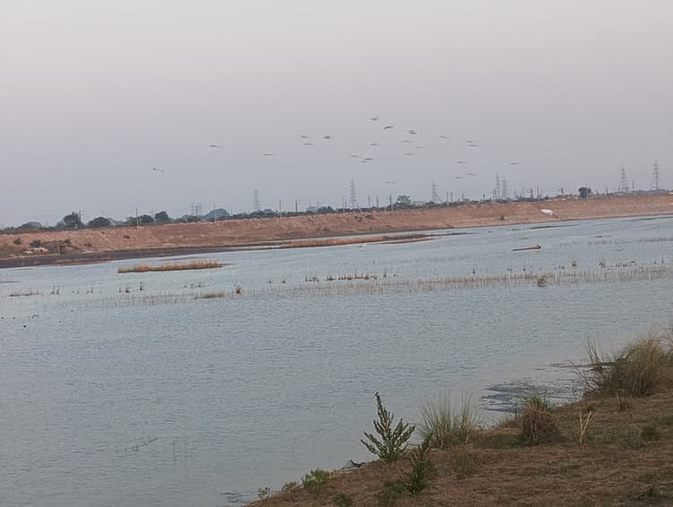 औटा और हाथीदह में जलजमाव से नहीं हो सकी एक हजार बीघे में बुआई