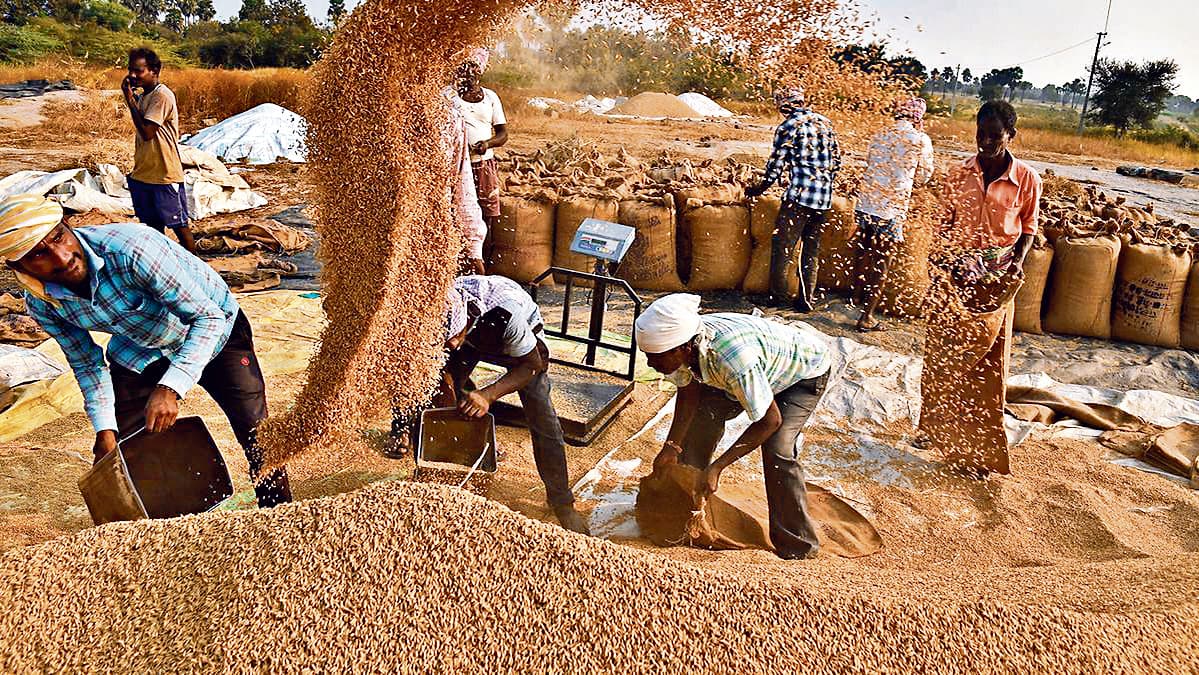 धान बेचने वाले 40% किसानों को नहीं हुआ भुगतान