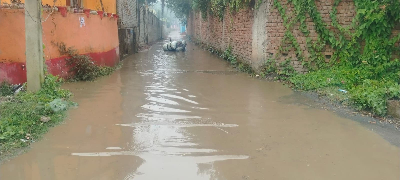 Giridih News :बारिश से शहरी क्षेत्र की सड़क तालाब में तब्दील