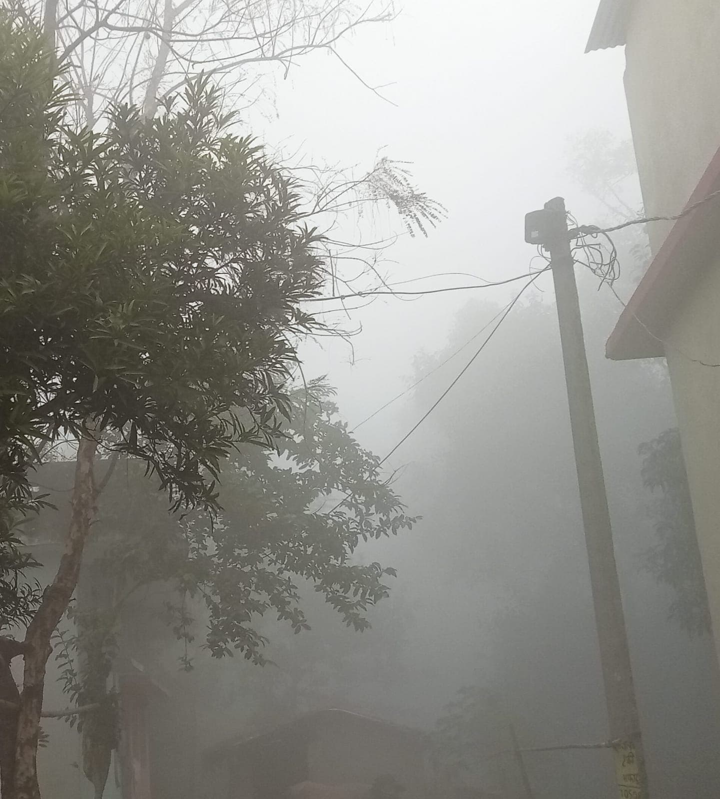 Sitamadhi News : ठंड में और इजाफा, कल से कोल्ड-डे का दौर शुरू होने की संभावना