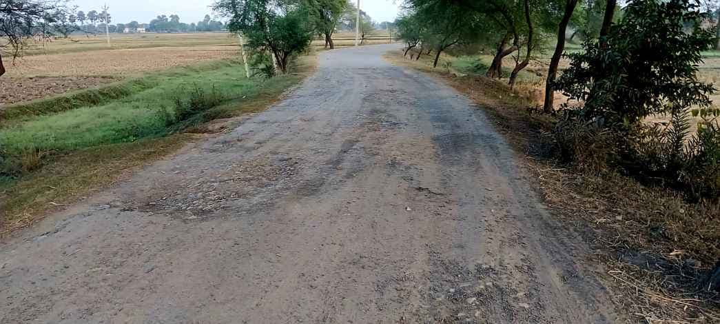 प्रशासनिक उदासीनता का दंश झेल रहा जर्जर सड़क