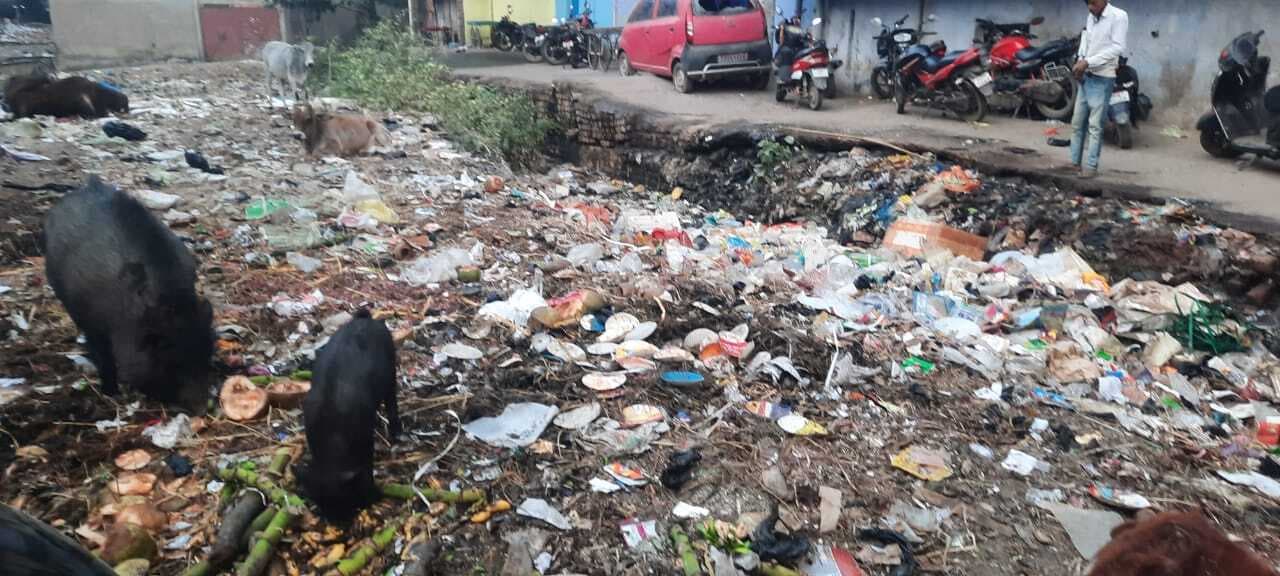 शहर में स्वच्छता ग्रेड नहीं, सिर्फ नाम के हो रहे काम