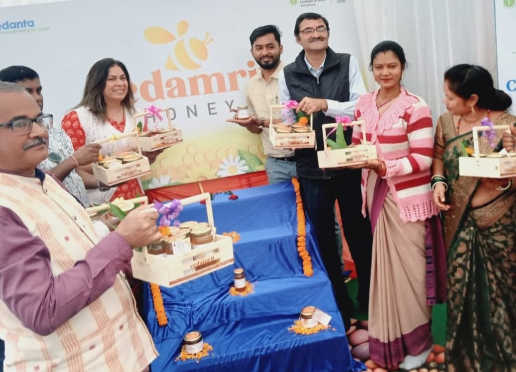 Jharsuguda News: वेदांता का हनी कलस्टर विकास कार्यक्रम शुरू, मधुमक्खी पालन कर सशक्त बनेंगे किसान