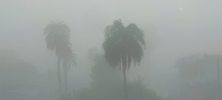 घने कोहरे की चादर में लिपटा जमुई, रफ्तार पर लगी ब्रेक, घरों में दुबके रहे लोग