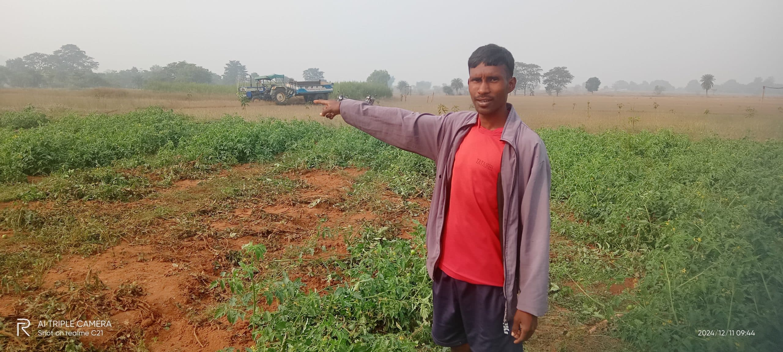 Chaibasa News : हाथियों ने फसल व बागवानी किया बर्बाद