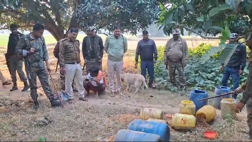 पुलिस ने शराब भट्ठी के साथ 700 किलो जावा महुआ को किया नष्ट