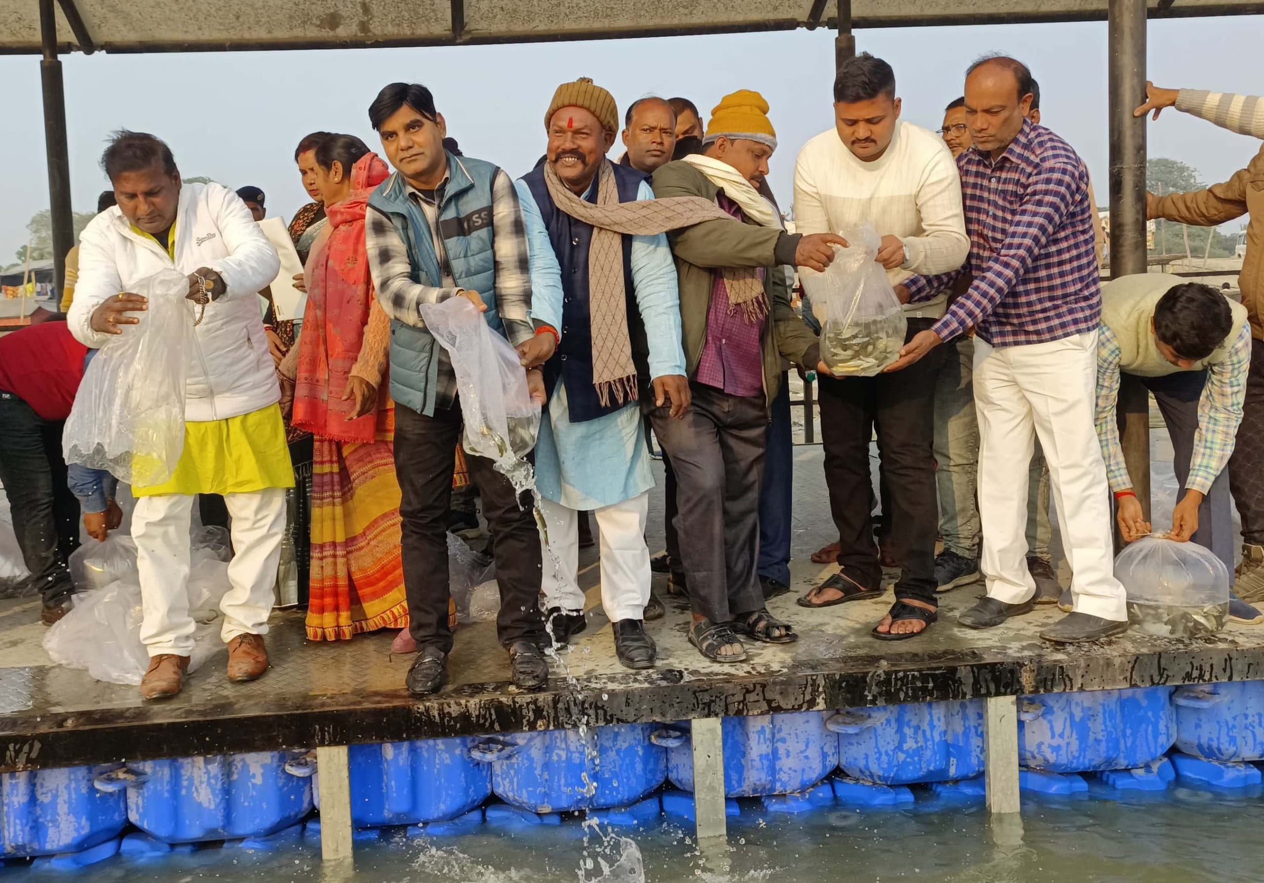 Katihar news : मनिहारी गंगा नदी में चार लाख मछली अंगुलिकाओं को छोड़ा गया