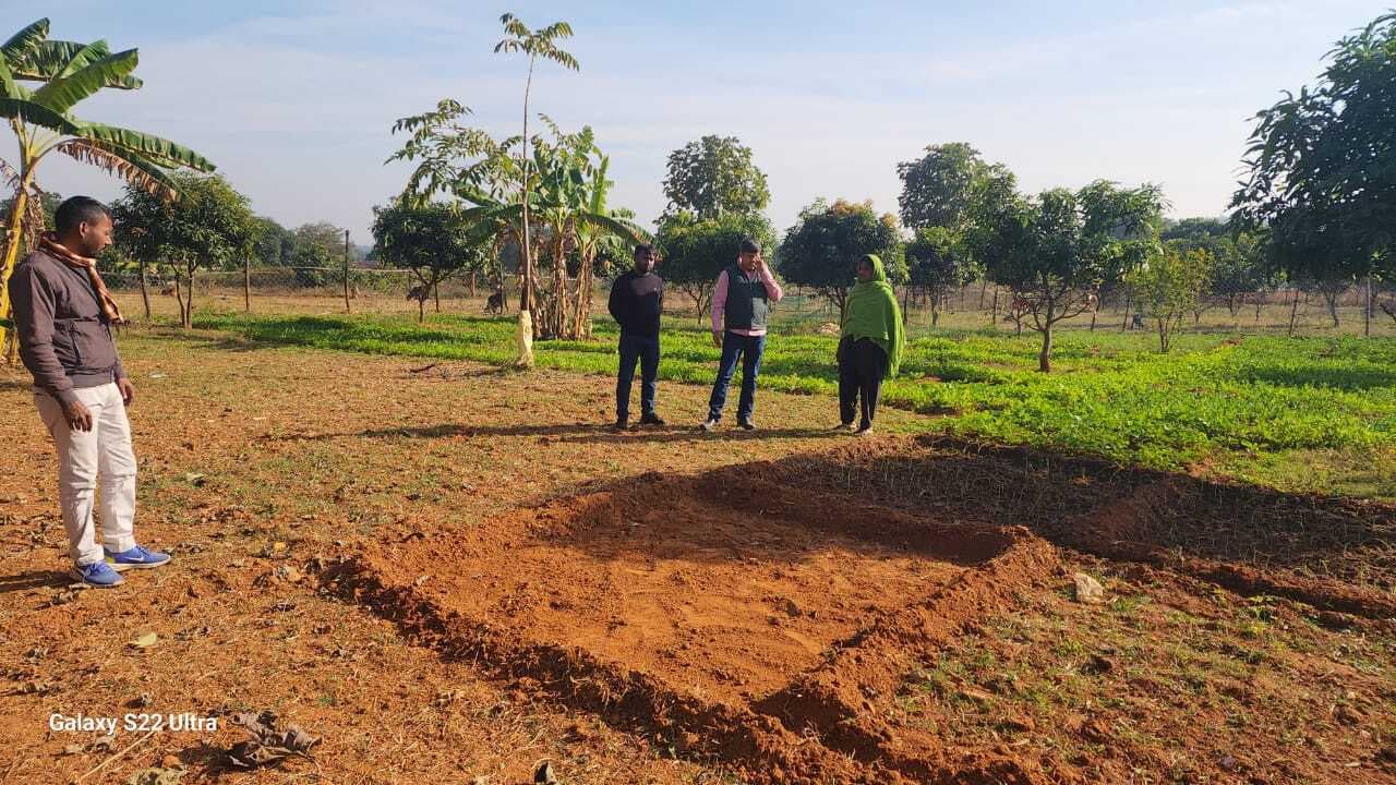 बीडीओ ने मनरेगा पार्क का किया औचक निरीक्षण