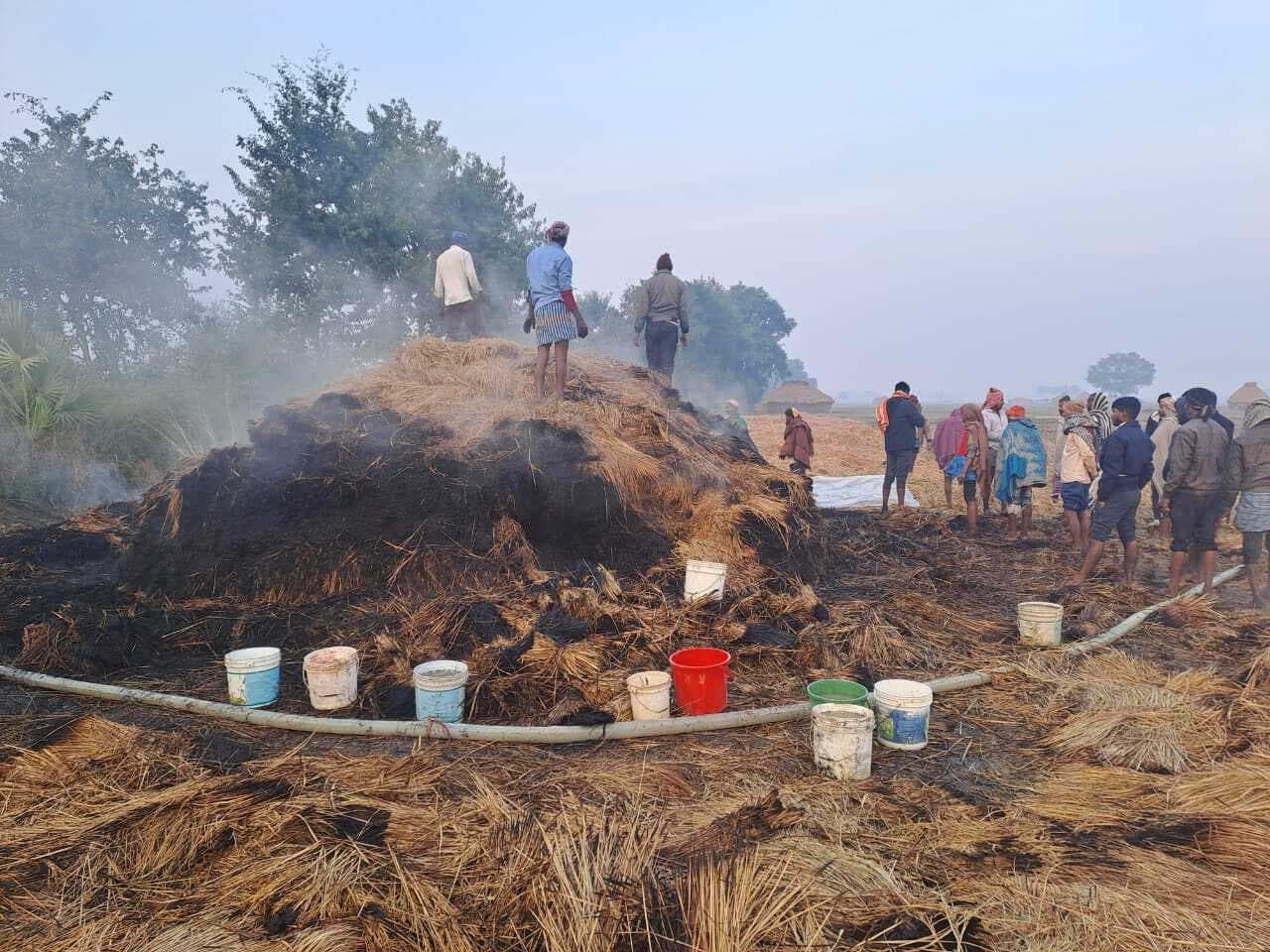 धान के पुंज में लगी आग, छह बीघा की फसल जली