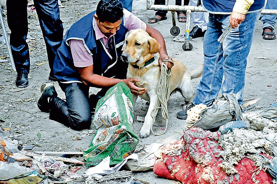 गोल्फग्रीन : कचरे के ढेर में मिला महिला का कटा सिर