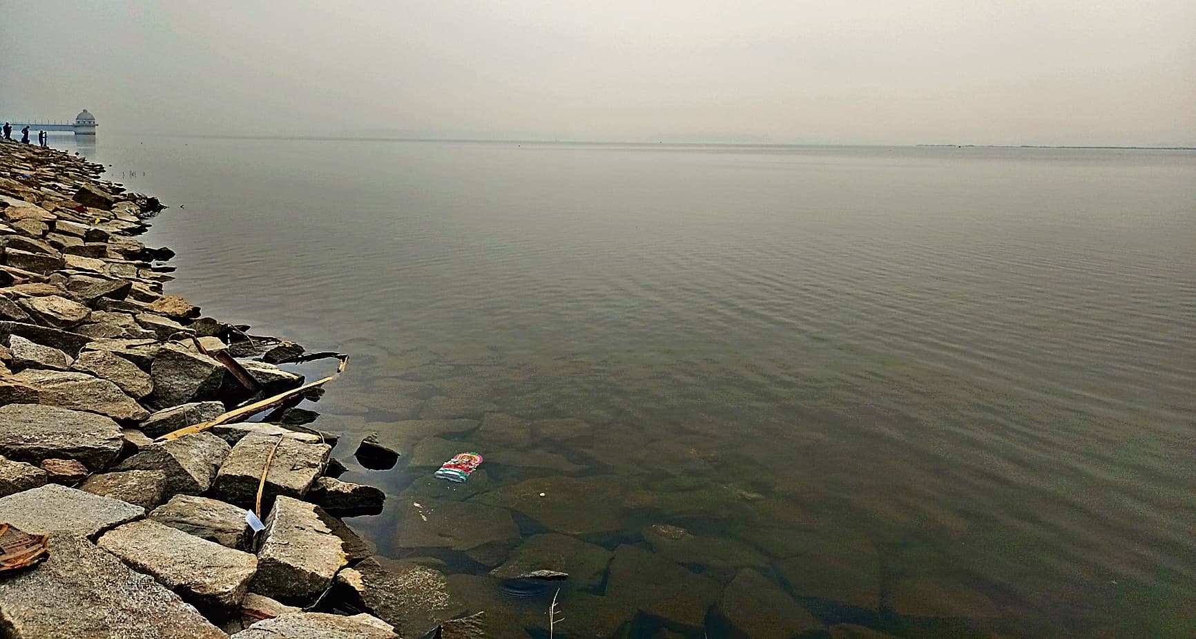 Ranchi News : कोहरे के कारण हो रही सड़क दुर्घटनाओं को रोकें : डीजीपी