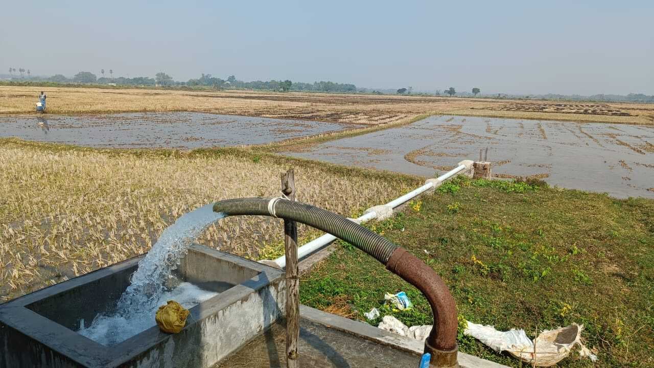 East Singhbhum : बहरागोड़ा प्रखंड में खरीफ में धान कटनी होते ही गरमा की खेती में जुटे किसान