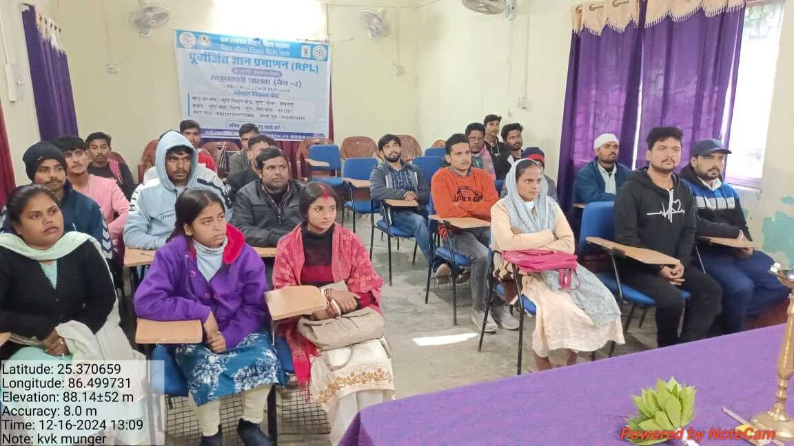 कम लागत में अधिक मुनाफे का रोजगार है मधुमक्खी पालन