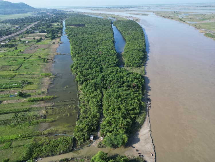 मेंहदीपुर बायोडायवर्सिटी पार्क में लगे तीन लाख पेड़, बना पिकनिक स्पॉट