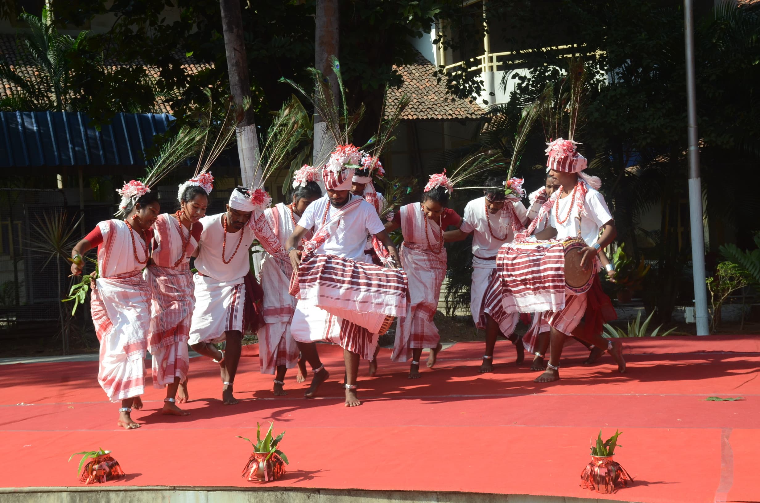 ranchi news : बेरा उगेला अंधेरा छटेला मधुर मधुर बोले ला कोयल मोर जिया डोले ला...