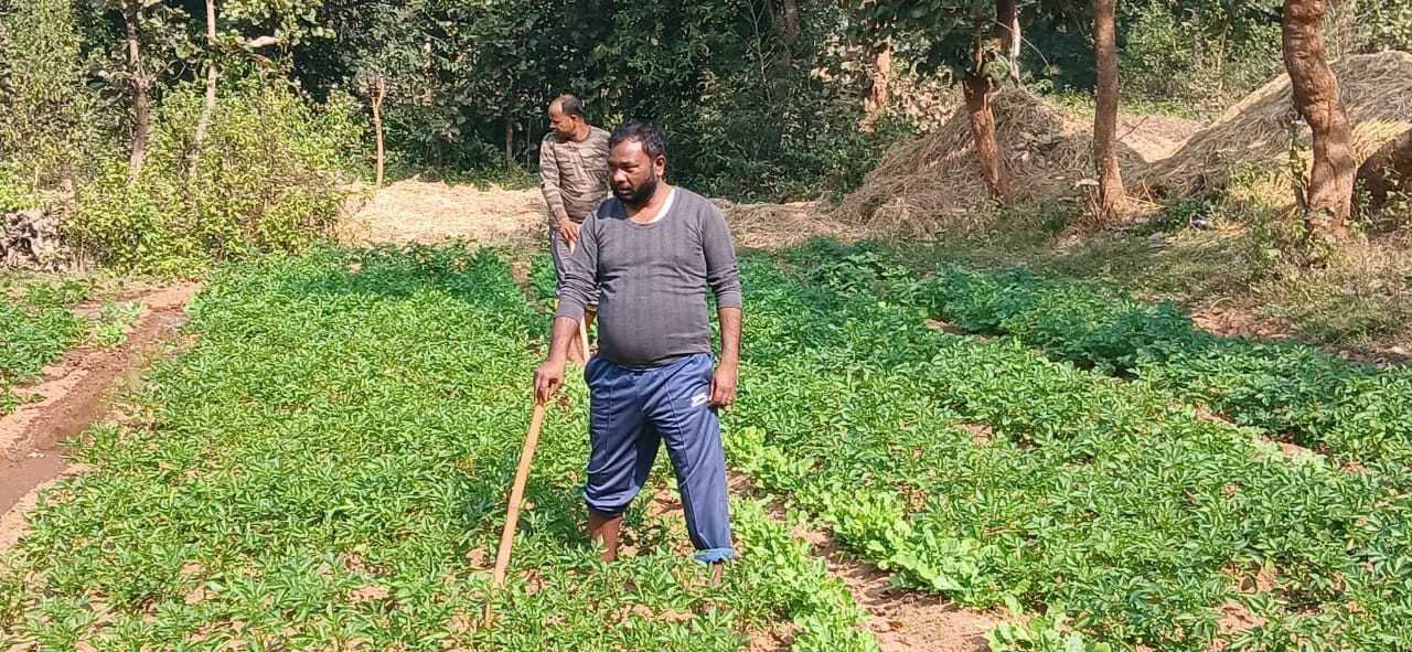 फुर्सत मिलते ही खेती-किसानी में जुटे विधायक