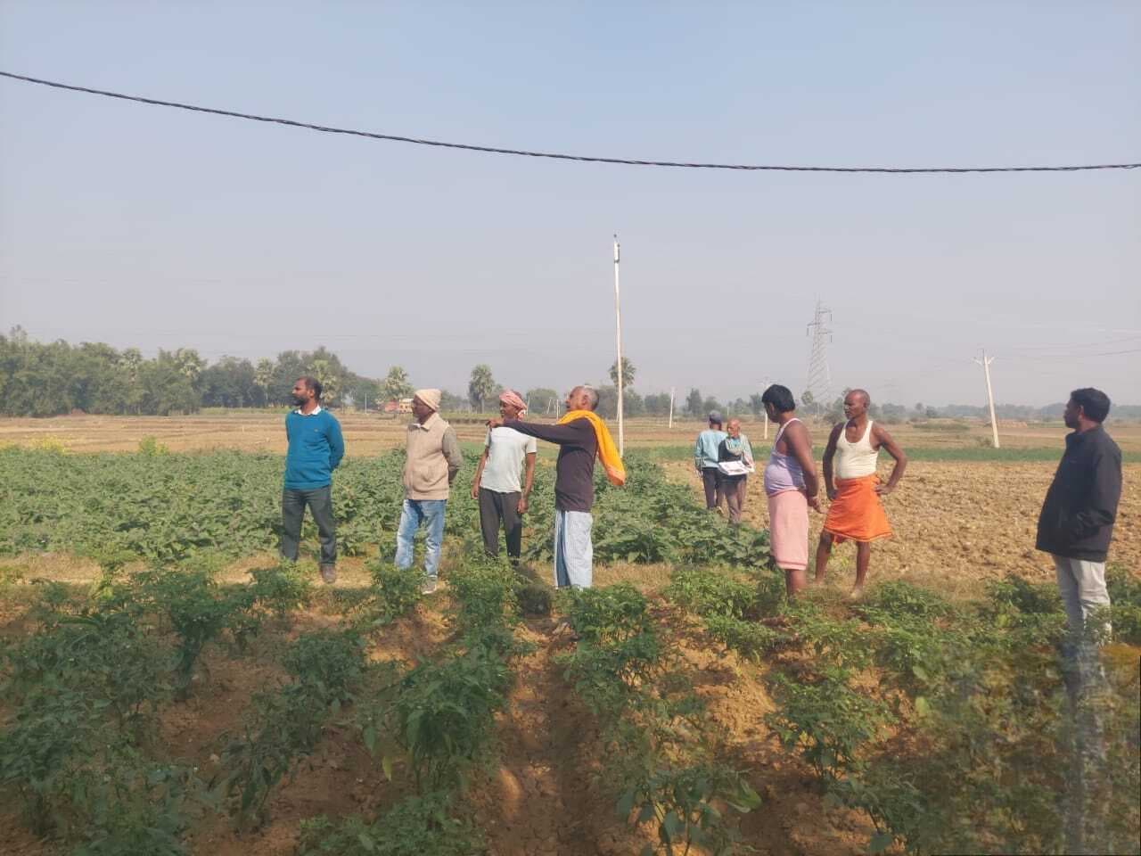 वैज्ञानिक व प्रसार कर्मी ने खेतों में फसल रोग उपचार की दी जानकारी