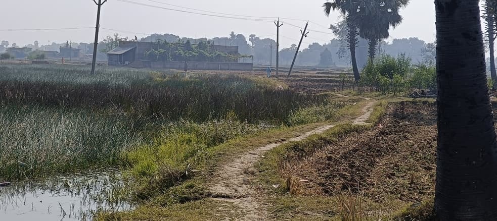 पक्की सड़क के लिए तरस रहे बसखोरिया के ग्रामीण