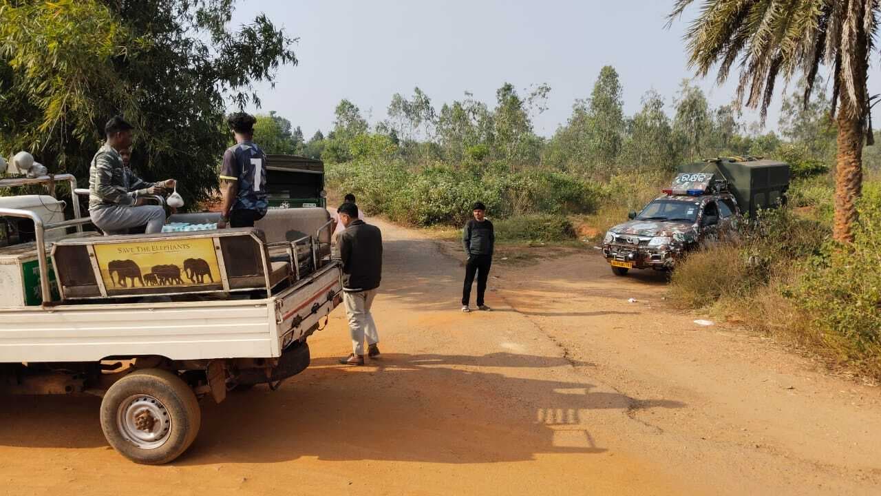 East Singhbhum : चाकुलिया हवाई पट्टी के पास टीम ने लगाया निशाना, 12 फीट लंबी छलांग लगाकर भागी बाघिन