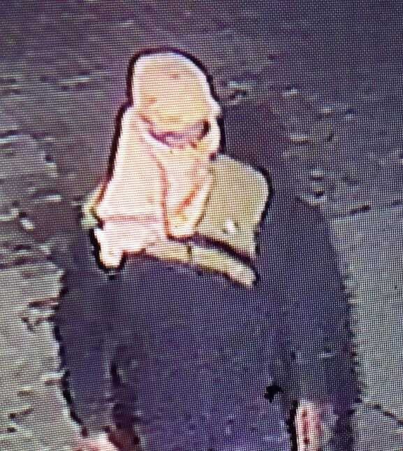 Giridih News: लगातार दूसरे दिन भी हरिहरधाम मंदिर में चोरी का प्रयास