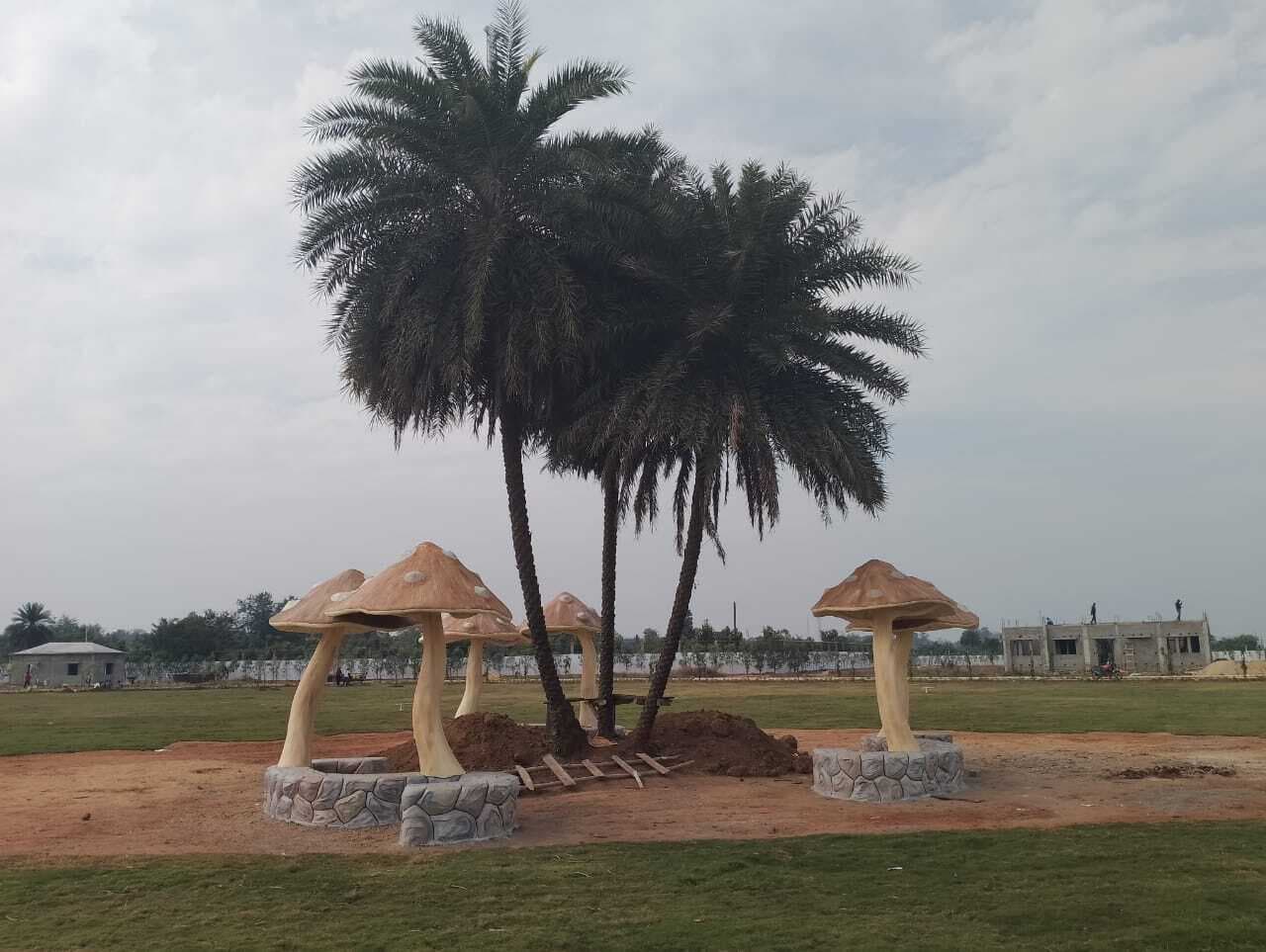 East Singhbhum News : चाकुलिया में उद्घाटन से पहले इकोलॉजिकल पार्क की खूबसूरती के मुरीद हुए लोग