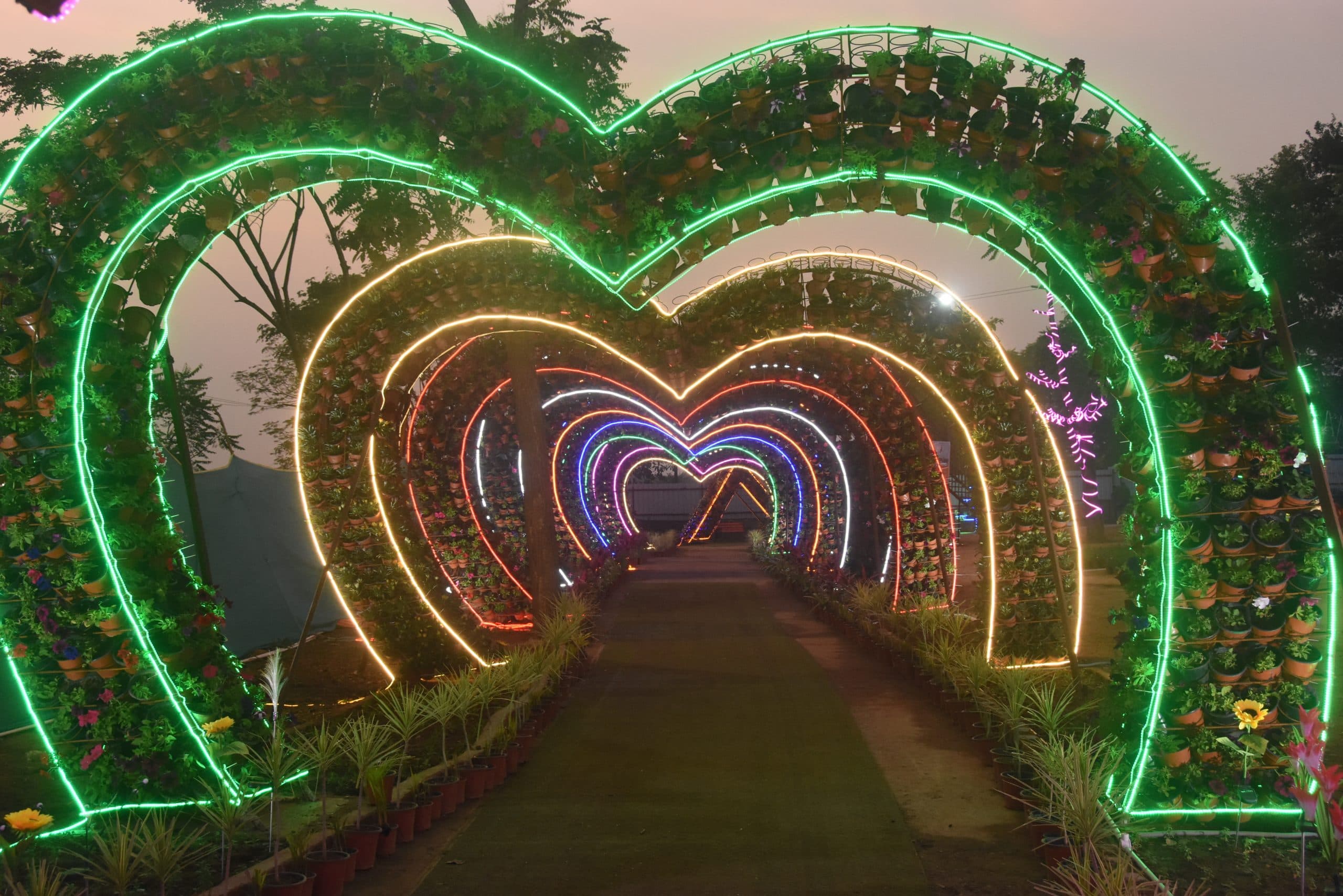 Dhanbad News : बिरसा मुंडा पार्क : वाइल्ड वादी फ्लावर पार्क में फूलों की खुशबू व एडवेंचर का लुत्फ उठा पायेंगे लोग