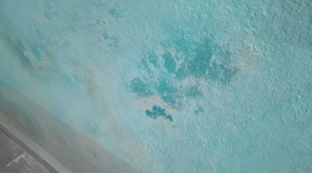 विद्यालय भवन के जीर्णोद्धार में बरती जा रही अनिमितता, प्लास्टर के कुछ दिनों बाद ही झड़ने लगा सीमेंट