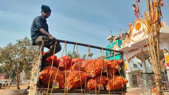 हंसडीहा की आलू की बोरियों ने घटाया बंगाल का बोझ