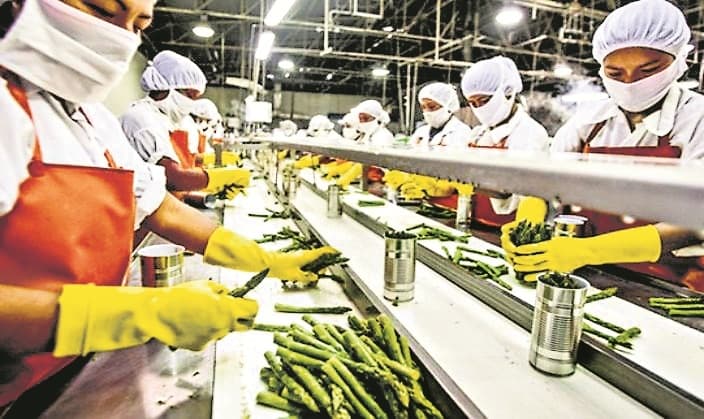 Industrial News : माइक्रो फूड इंडस्ट्री में एसटी-एससी उद्यमी छाये