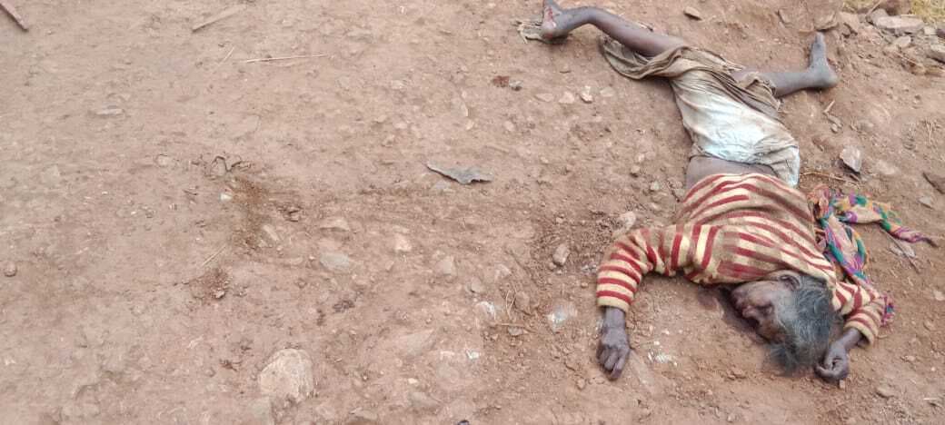 Chaibasa News : हाथी ने घर से निकालकर वृद्धा को कुचला, मौत