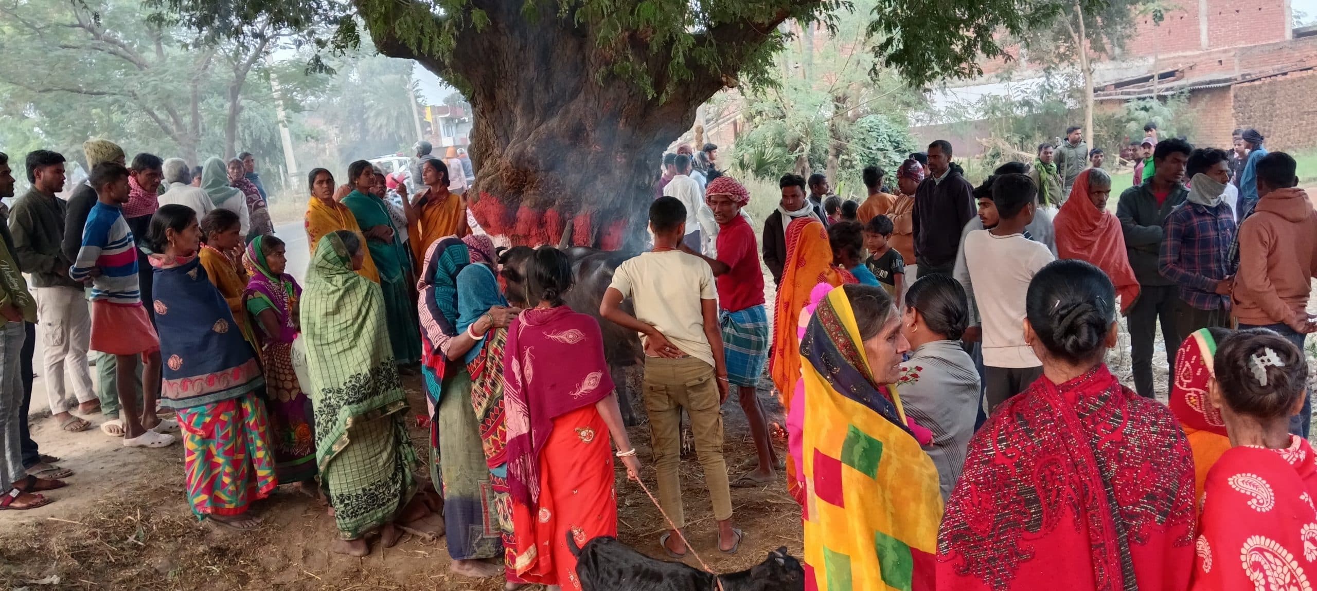 Gaya News : अनियंत्रित वाहन रोड किनारे पलटा, तीन मवेशियों की हुई मौत