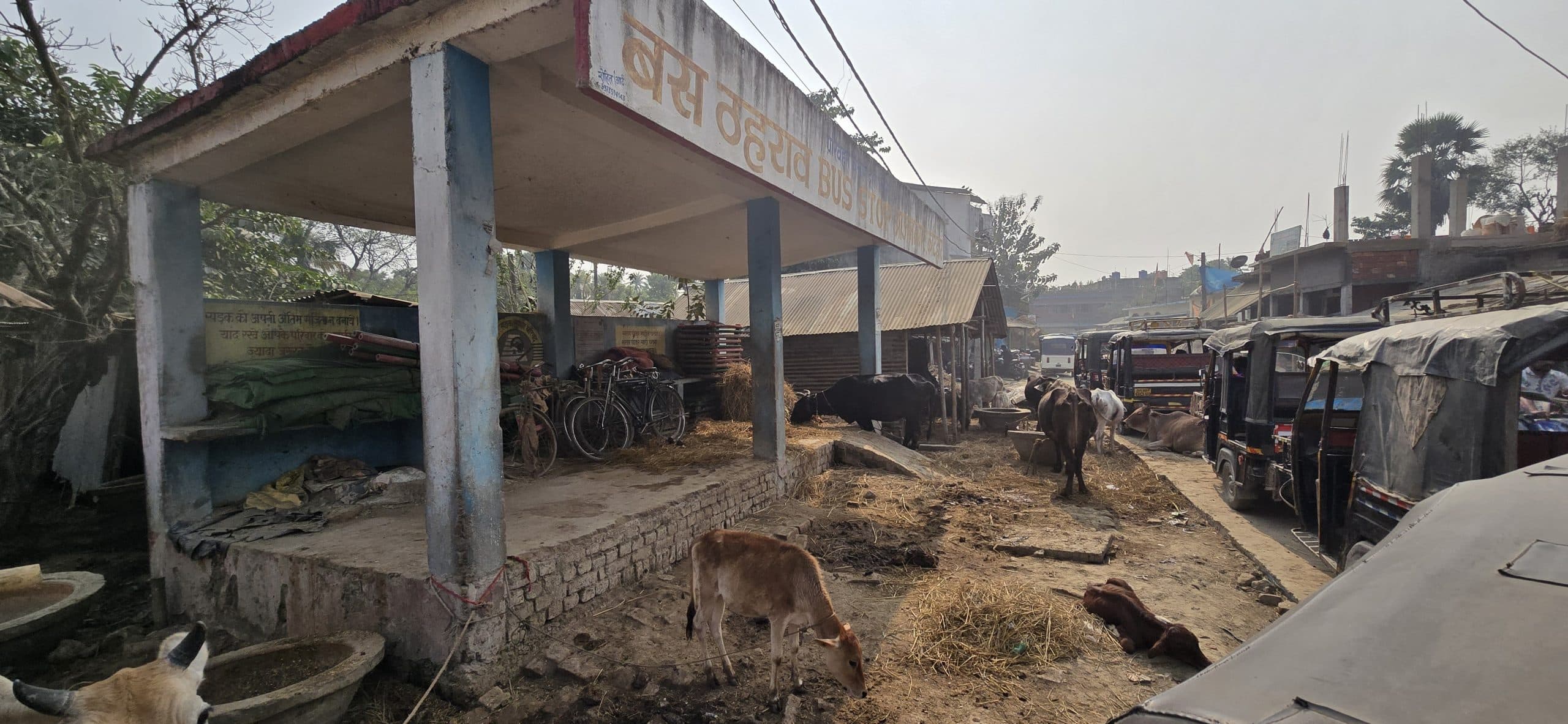 स्टैंड बना तबेला, अधिकारी देखकर भी बने हैं अनजान