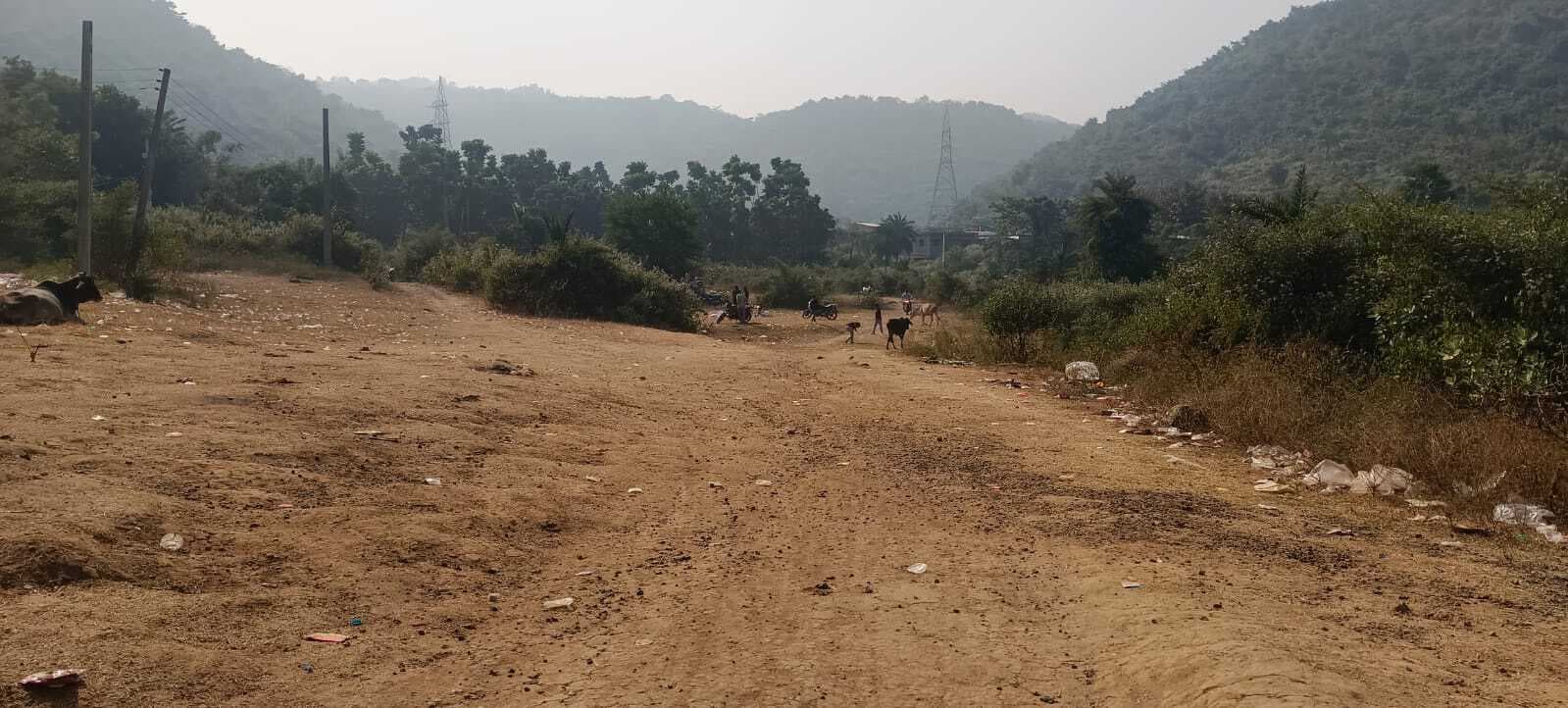 नये साल का जश्न मनाने के लिए जिले में 10 पिकनिक स्पॉट किये गये चिह्नित