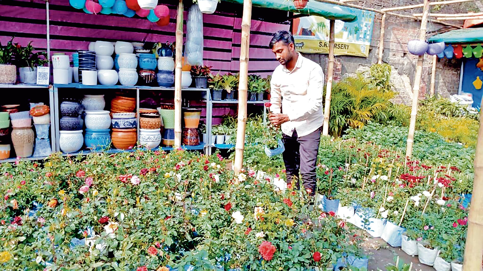 सर्दी का मौसम शुरू होते ही बढ़ी फूलों के पौधों की मांग