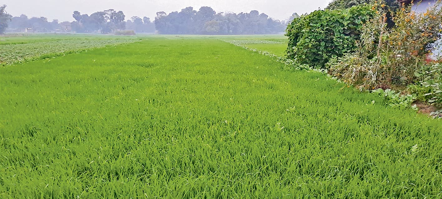 hajipur news. आसमान में बादल छाये रहने से दिन भर नहीं निकली धूप, तापमान में आयी गिरावट